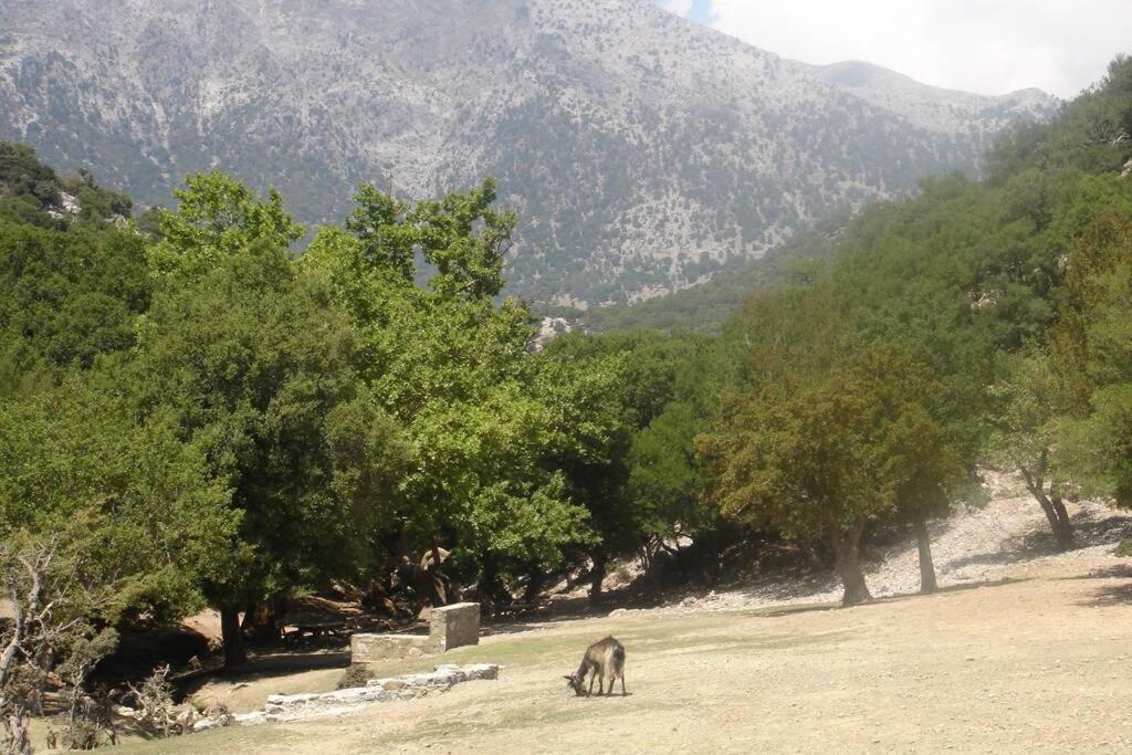 Villa Strata Kardhamiana Exteriér fotografie